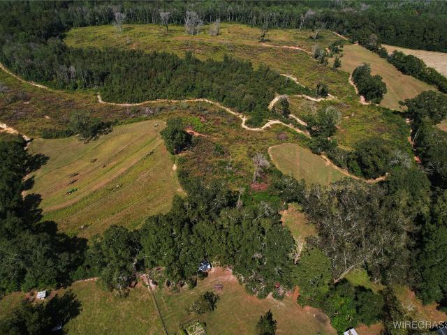 Land for sale in Brundidge, Alabama