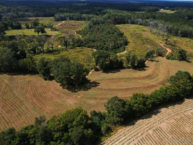 Farm for sale in Brundidge, Alabama