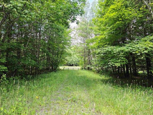 Land for sale in Madrid, New York