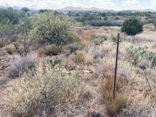 Land for sale in Arizona