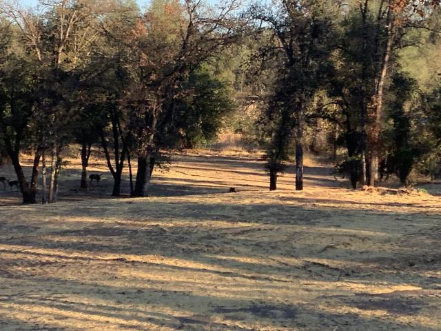 Land for sale in Redding, Shasta County