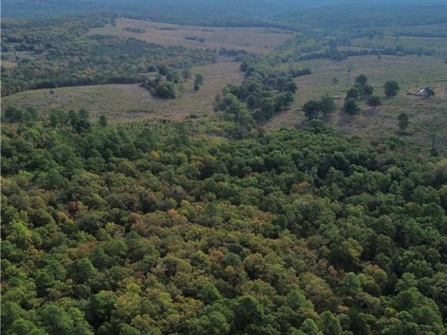Land for sale in Omaha, Boone County