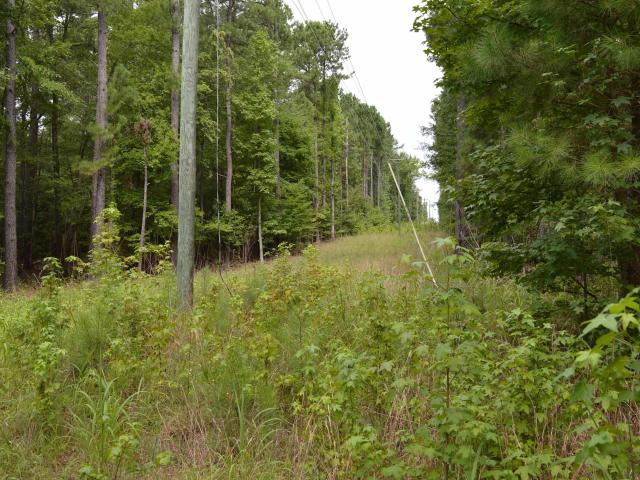 Land for sale in Lugoff, South Carolina