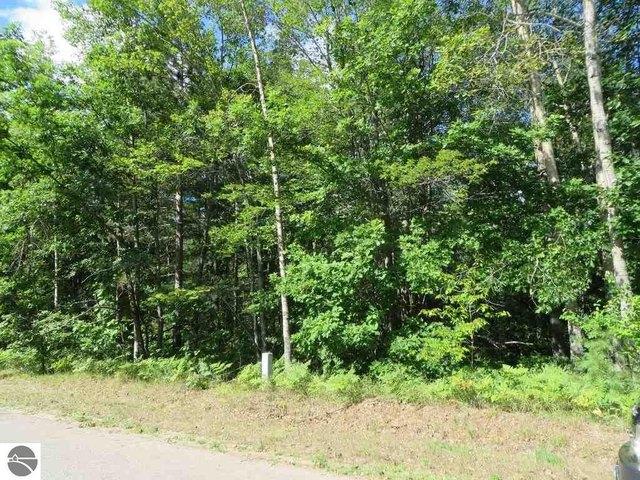 Land for sale in Kalkaska, Michigan