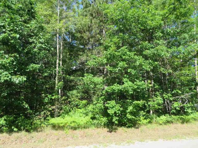 Land for sale in Michigan