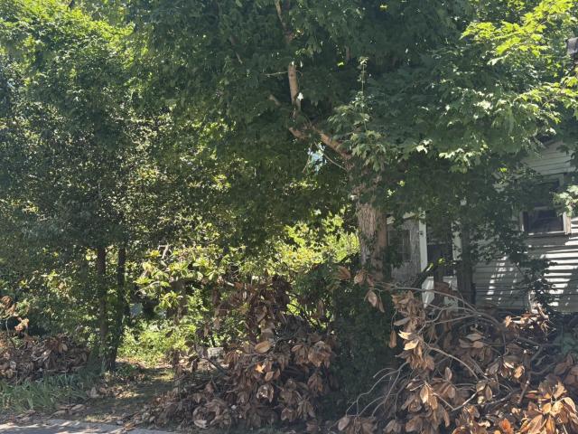 Land for sale in Tennessee