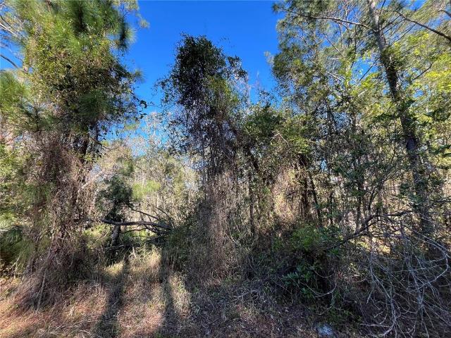 Land for sale in Florida
