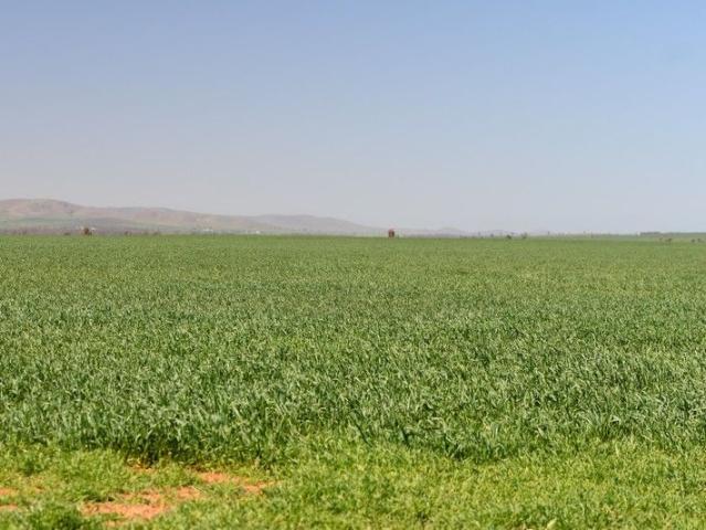 Property for sale in Orroroo, South Australia