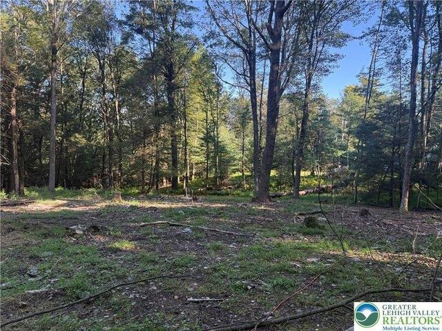 Land for sale in Gilbert, Pennsylvania