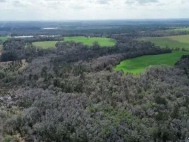 Land for sale in Clio, Barbour County