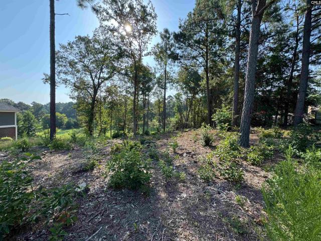 Land for sale in Blythewood, South Carolina
