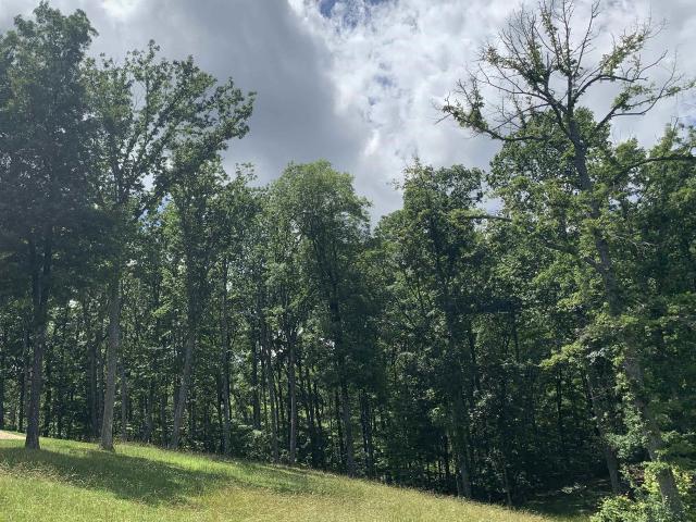 Land for sale in Gurley, Alabama