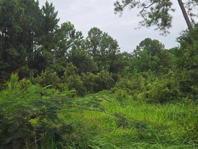 Land for sale in Pass Christian, Mississippi