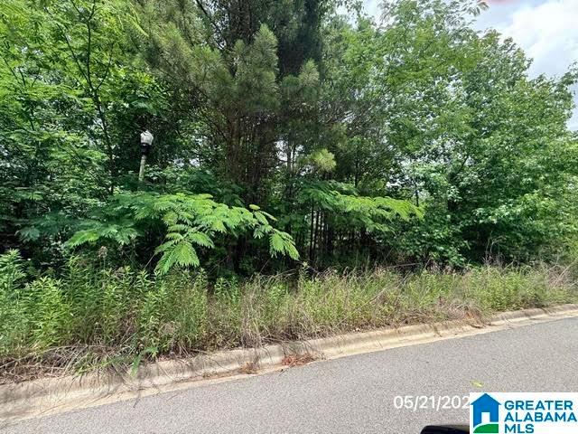 Land for sale in Birmingham, Alabama