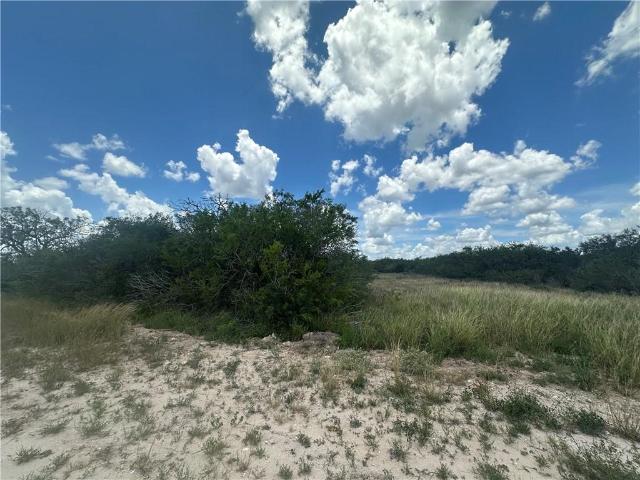 Land for sale in Orange Grove, Texas