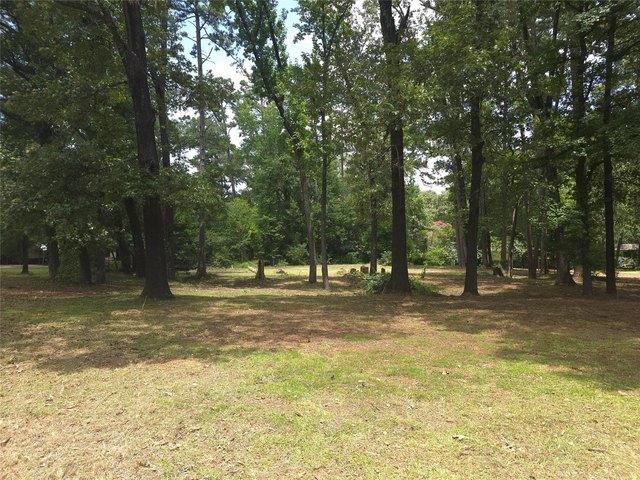 Land for sale in Morris, Texas