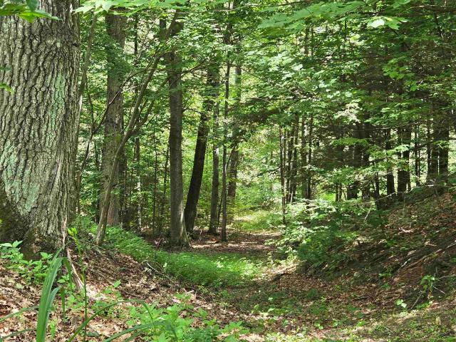 Land for sale in New Hampshire