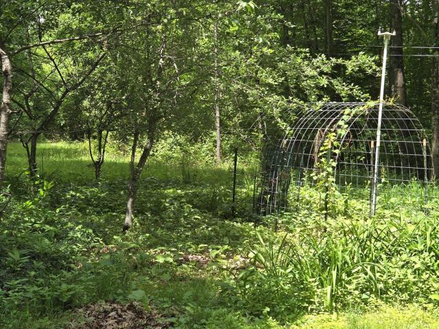 House for sale in New Hampshire