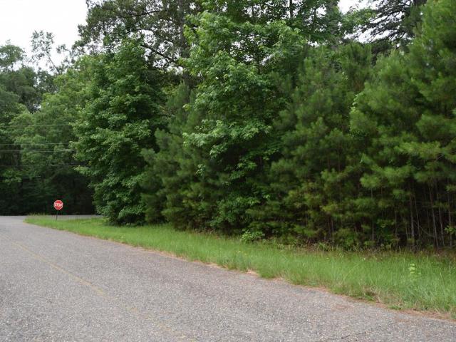 Land for sale in Doyline, Louisiana