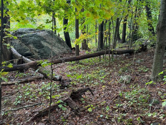 Land for sale in New Hartford, Connecticut