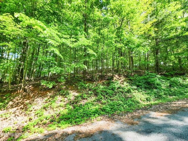 Land for sale in Tennessee
