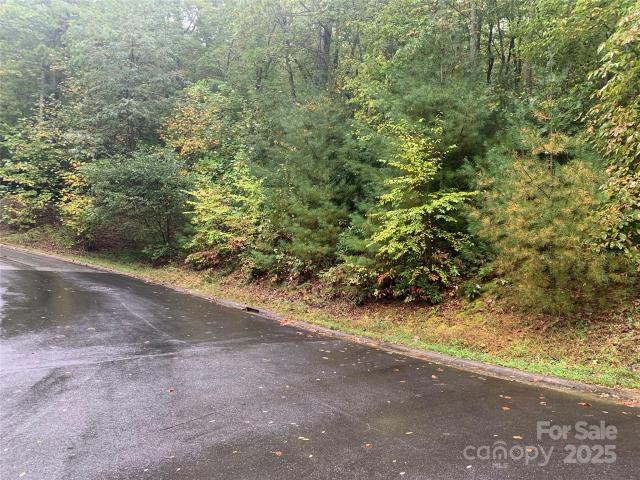 Land for sale in Black Mountain, North Carolina