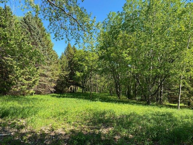 Land for sale in Wabasha, Minnesota