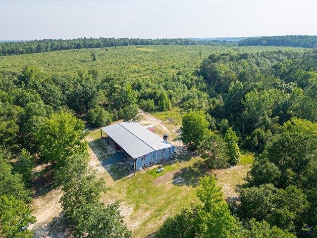 Land for sale in Butler, Georgia