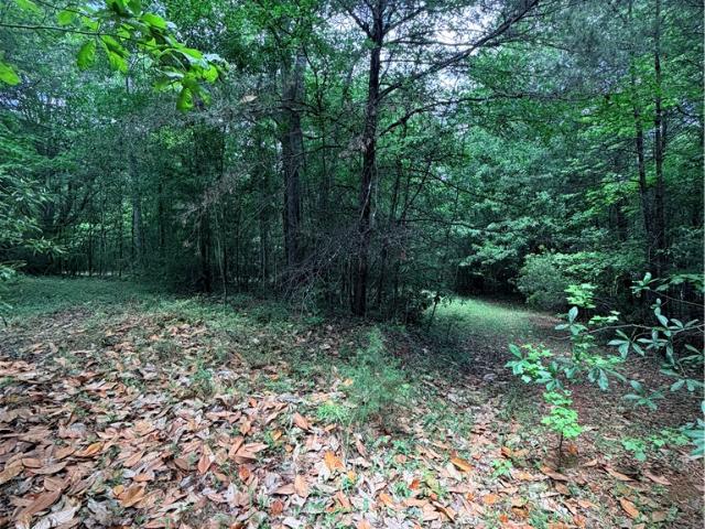 Land for sale in Pickens, South Carolina