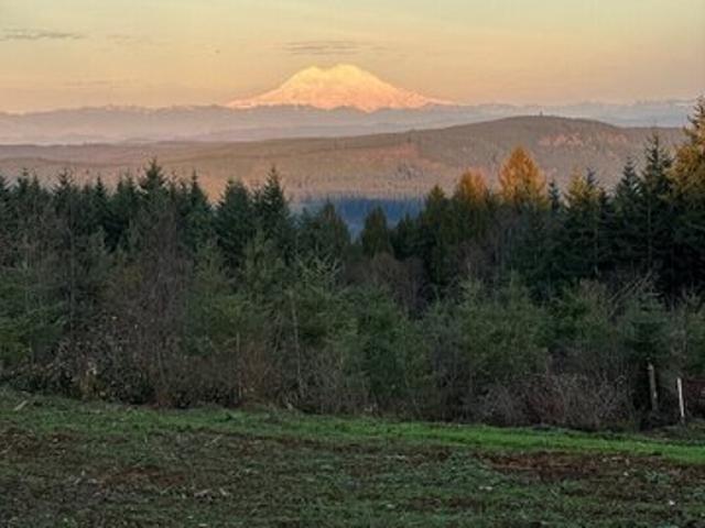 Land for sale in Castle Rock, Washington