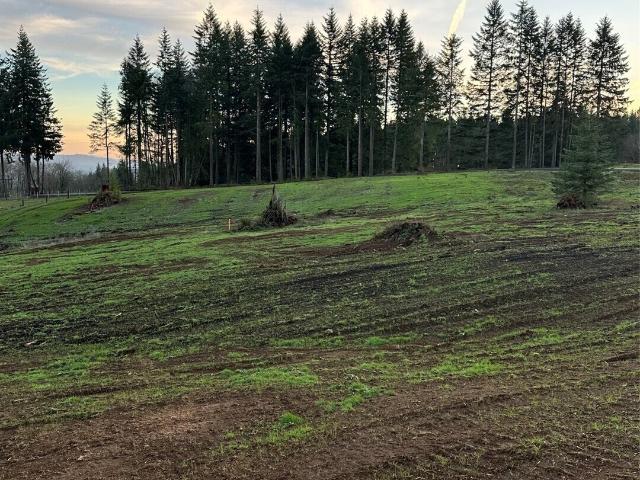 Land for sale in Castle Rock, Washington