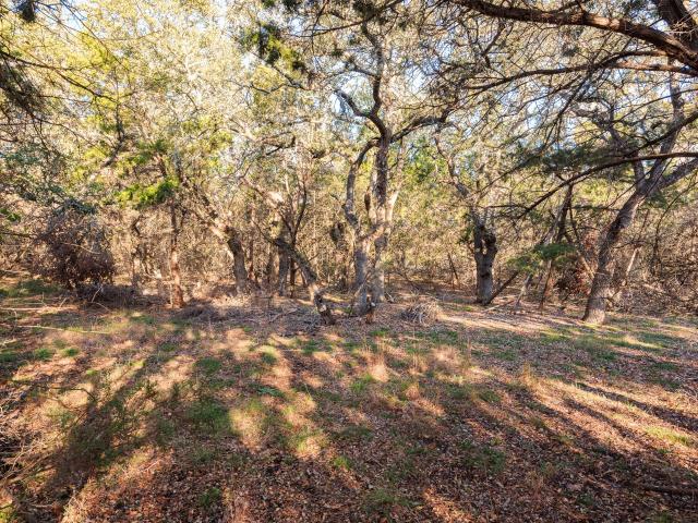 Land for sale in Hays, Texas