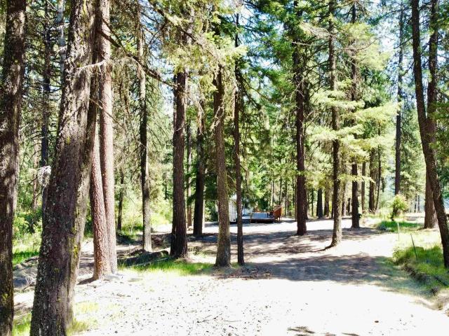 Land for sale in Orofino, Idaho