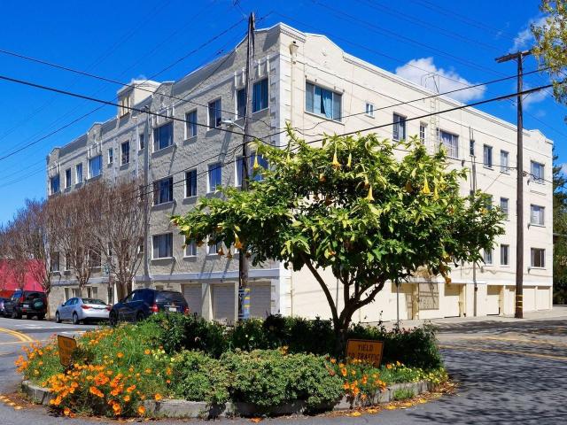 Apartment for rent in Berkeley, California