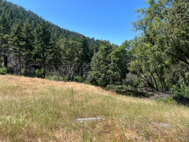 Land for sale in Lake, California