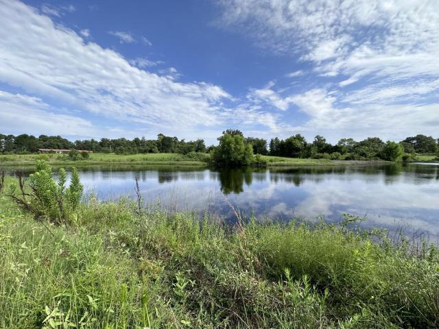 Land for sale in Titus, Texas