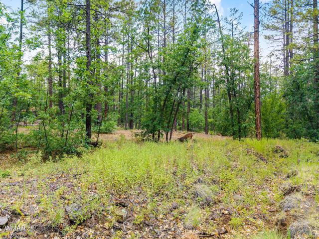 Land for sale in Navajo, Arizona