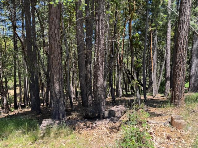 Land for sale in Foresthill, California