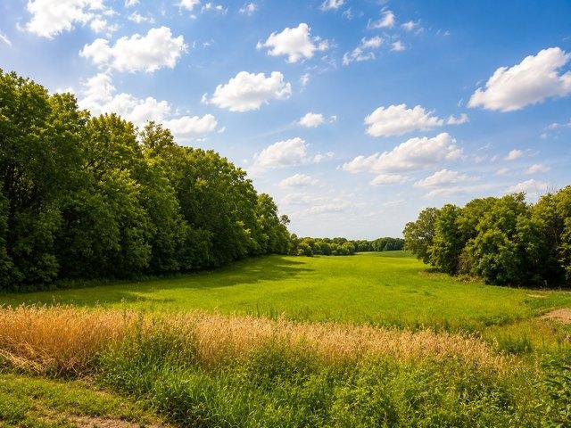 Land for sale in Credit River, Scott County