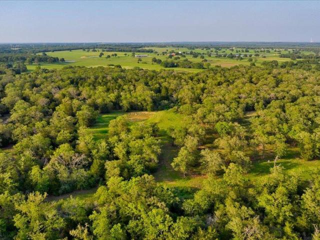 Farm for sale in Thrall, Williamson County