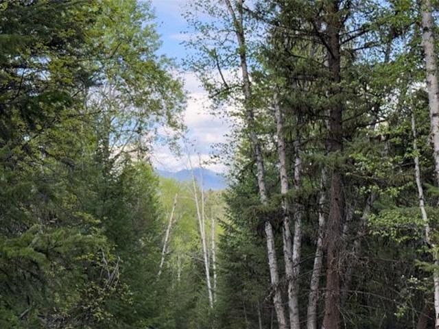 Land for sale in Eureka, Montana