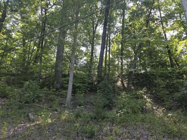 Land for sale in Stanton, Kentucky