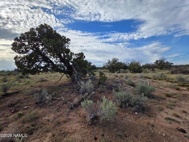 Land for sale in Williams, Arizona