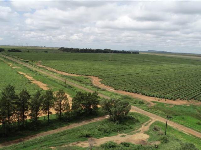 Farm for sale in Lejweleputswa, Free State