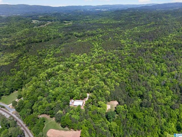House for sale in Anniston, Alabama