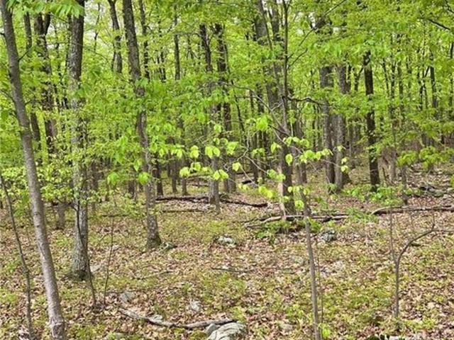 Land for sale in Tunkhannock, Pennsylvania