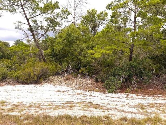 Land for sale in Lake Placid, Florida