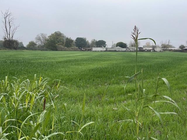 House for sale in Turlock, California