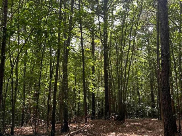 Land for sale in Pelzer, South Carolina