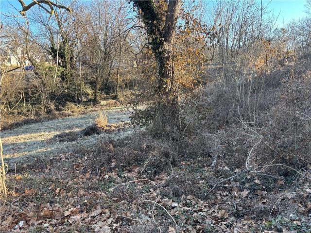 Land for sale in El Dorado Springs, Missouri